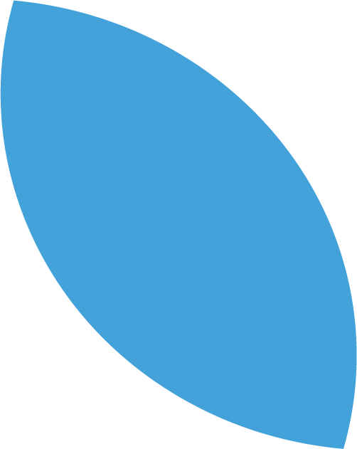feuille bleue background