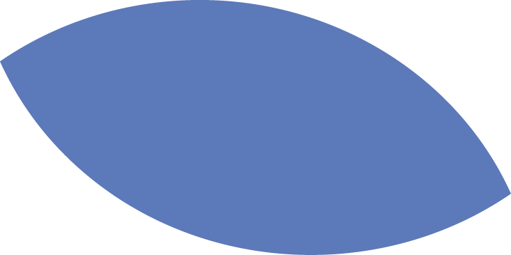illustration feuille bleue
