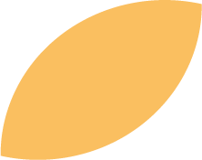 illustration feuille