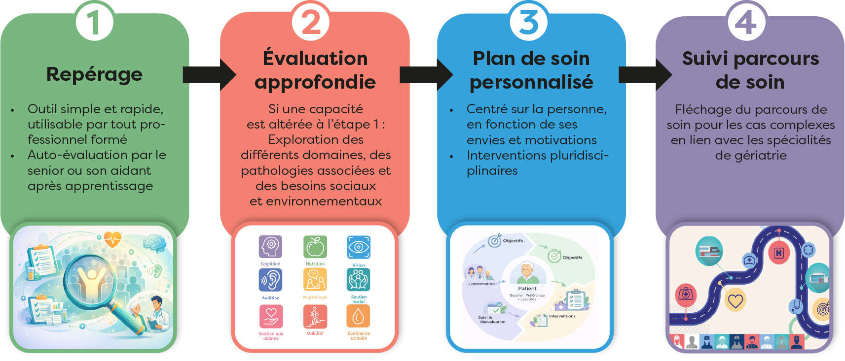 schéma des étapes composants la formation